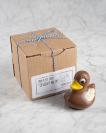 Chocolate duck