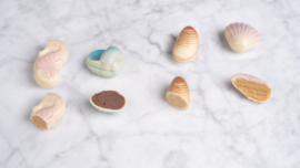 Oceanic collection pralines