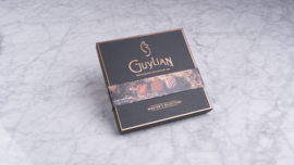 Guylian master’s selection 117 gram