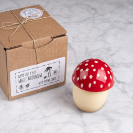 Magic mushroom - sold out (back in september)