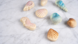 Oceanic collection pralines