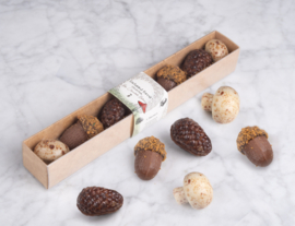 Enchanted forest collection pralines