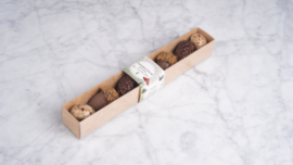 Enchanted forest collection pralines