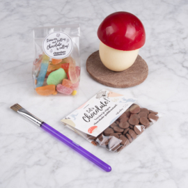 Chocolate mushroom craft kit