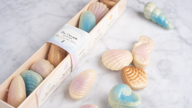 Oceanic collection pralines