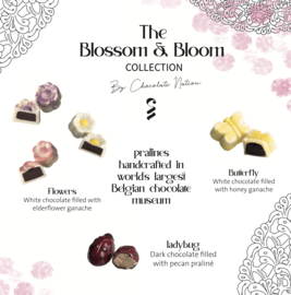 The blossom & bloom collection chocolates