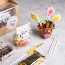 Chocolate flower pot craft kit