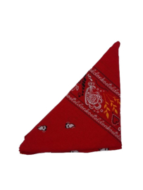 Originele oeteldonkse boerenzakdoek