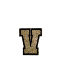 Glitter V