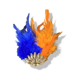 Broche met veren