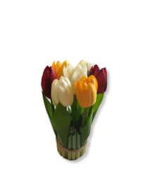 Tulpenbosje in de kleuren van oeteldonk