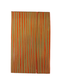 Fijn lint band 70 mm groen oranje