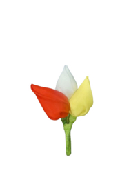 Tulpen speld