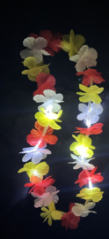 Hawaii slinger met lichtjes