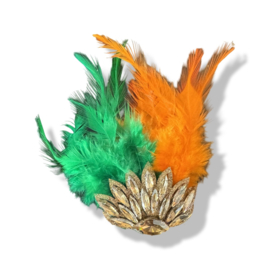 Broche met veren