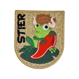 Sterrenbeelden