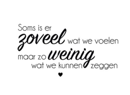 Soms is er zoveel