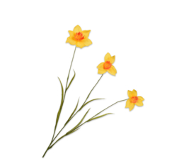 NARCIS STEEL GEEL