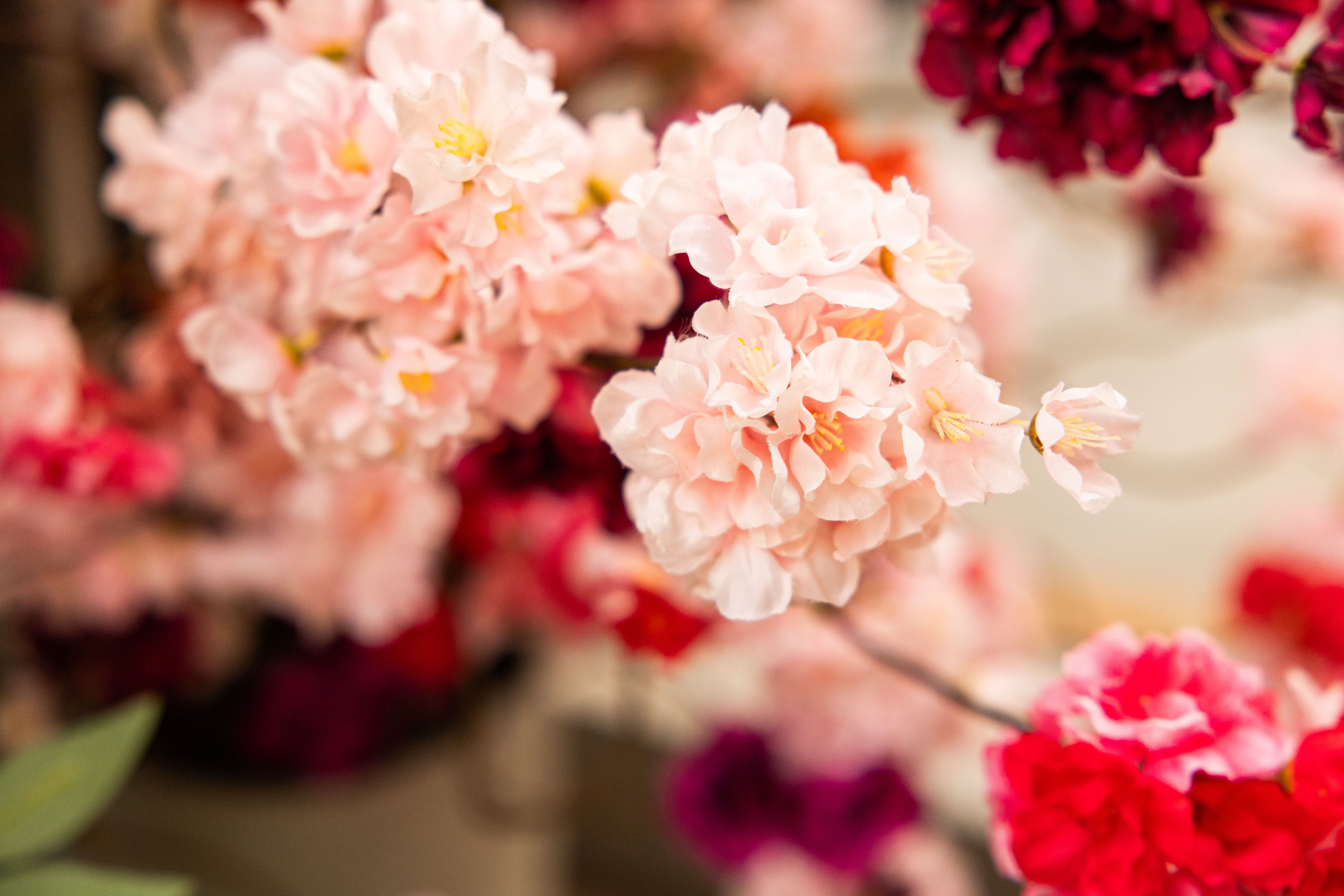 bloesem house of silky flowers