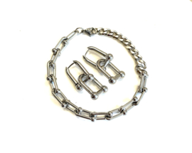 Oorbellen stirrup stainless steel zilver