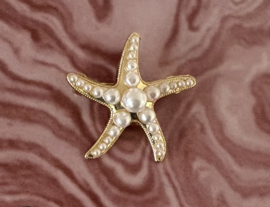 Broche zeester