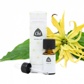 Chi Ylang ylang cultivar (10 ml.)