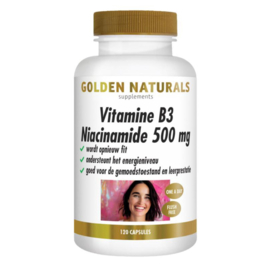 Golden Naturals Vitamine B3 niacinamide (120 vegan caps.)