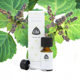 Chi Patchouli Cultivar (10 ml.)