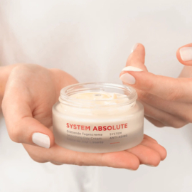 Annemerie Borlind System Absolute dagcremè (50 ml)