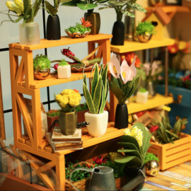 Cathy’s Green House, Robotime DG104