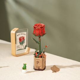 DIY Houten Bloem Red Rose, Rode Roos, Robotime, TW042