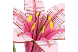 DIY Houten Bloem Pink Lily, Roze Lelie, Robotime, TW071