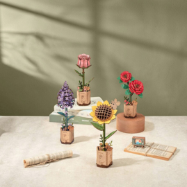 DIY Houten Bloem Sun Flower, Zonnebloem, Robotime, TW011