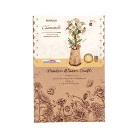 DIY Houten Bloem, Chamomile/Kamille, Robotime, TW061