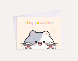 Kaart Stay pawsitive