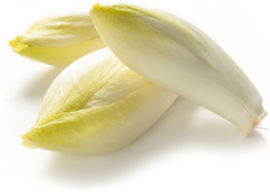 Witloof 1kg