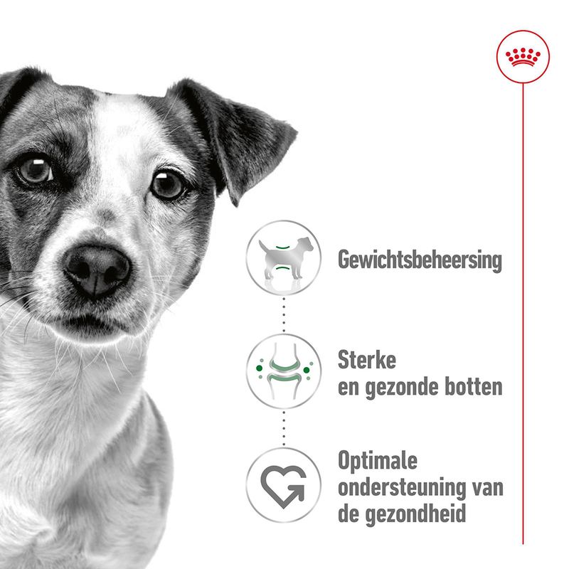 Royal Canin Mini Adult dog  4 kg
