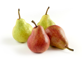 Peren