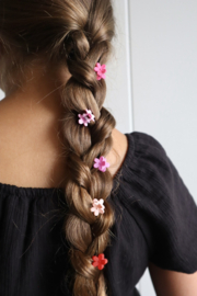 Setje Mini Klemmetjes