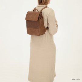 Beagles Pamplona rugtas taupe