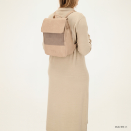 Beagles Pamplona rugtas licht taupe