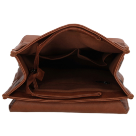 Beagles Pamplona rugtas cognac