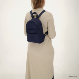 Beagles Duomo rugtas blauw