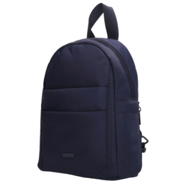 Beagles Duomo rugtas blauw