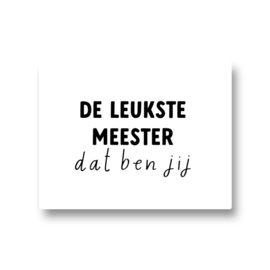 5 stickers - de leukste meester dat ben jij