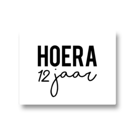 5 stickers - hoera 12 jaar