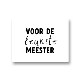 5 stickers - voor de leukste meester