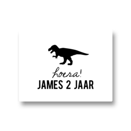 5 naamstickers - dino 3