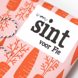 5 naamstickers - van sint (2)