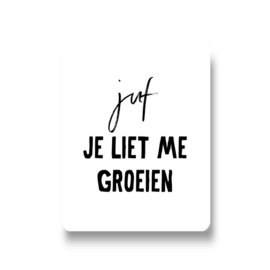 5 stickers - juf je liet me groeien